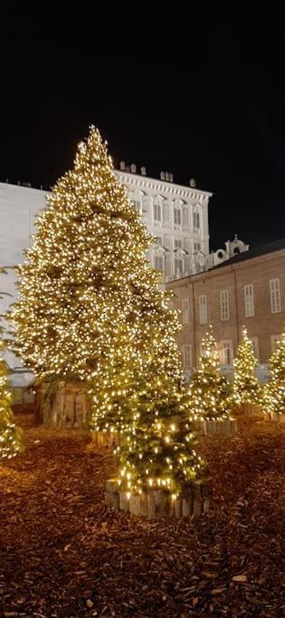 Romantica Mansarda Nel Cuore Di Torino Екстериор снимка